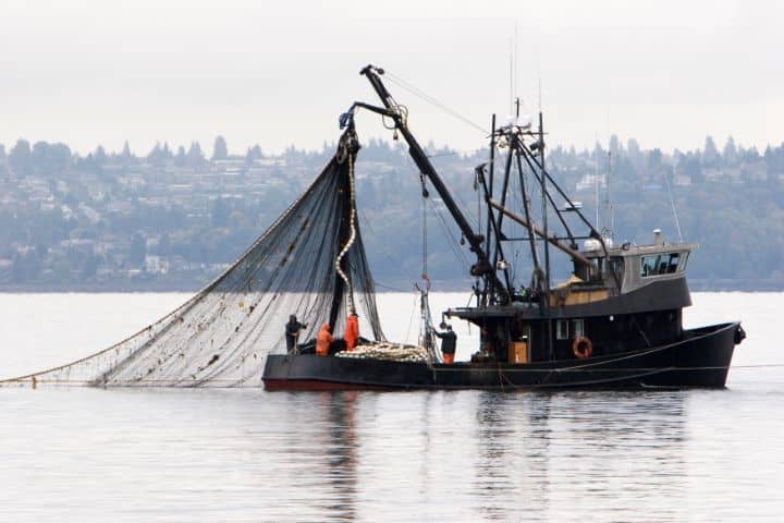 Alaska Fisheries Tax Bond - A commercial fishing ship with its crew.