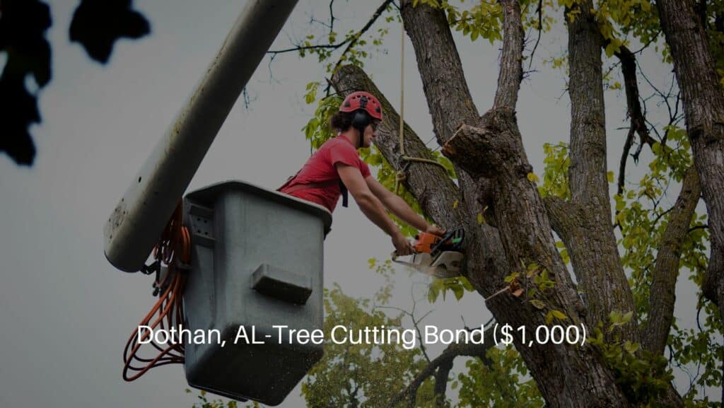 Dothan, AL-Tree Cutting Bond ($1,000) - Tree services arborist expert working. pruning, cutting high branches.