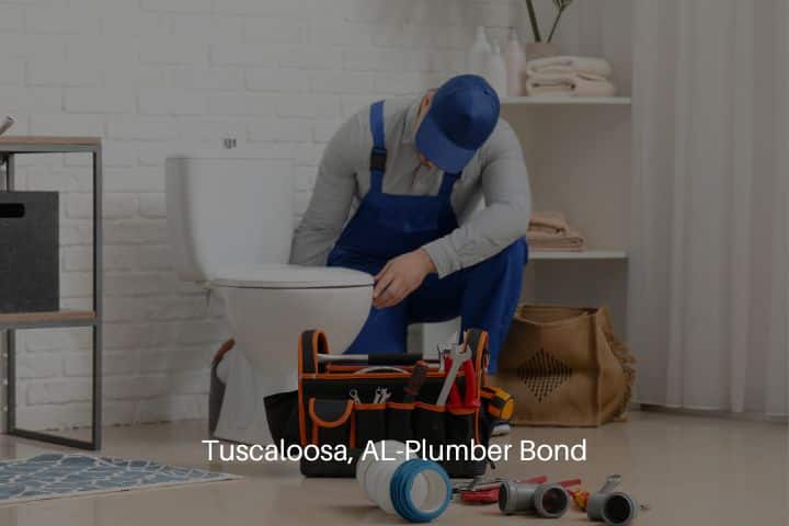 Tuscaloosa, AL-Plumber Bond - A plumber repaired the toilet bowl in the bathroom.