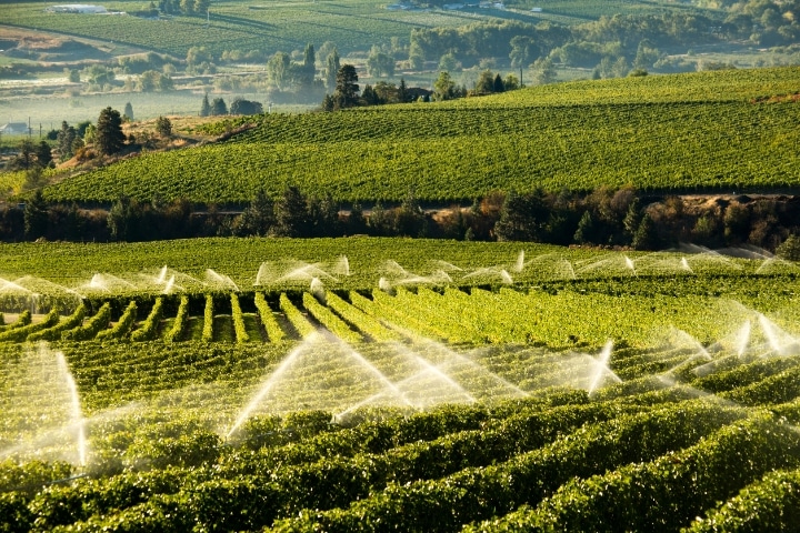 Orange County, FL - Irrigation Sprinkler ($5,000) Bond - Agriculture irrigation sprinkler.