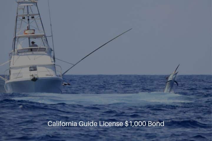 California Guide License $1,000 Bond - Game fishing boat fighting a marlin.