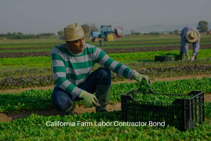 California Farm Labor Contractor Bond - Latin American farm worker harvesting corn salad.