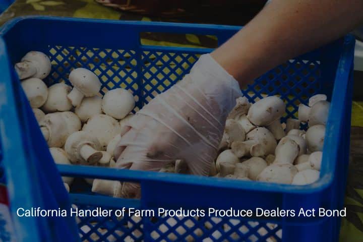 California Handler of Farm Products Produce Dealers Act Bond - A food handler with latex gloves picking up white button mushrooms.