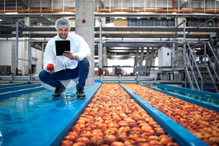 California Farm Products Processors Law Bond - Technologist in a food processing factory controlling the process of apple fruit selection.