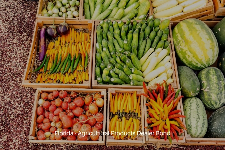 Florida - Agricultural Products Dealer Bond - Agricultural product: Fruits and vegetables in a basket.