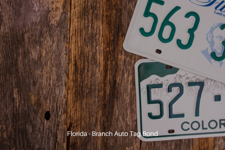 Florida - Branch Auto Tag Bond - American license plates on wood background.
