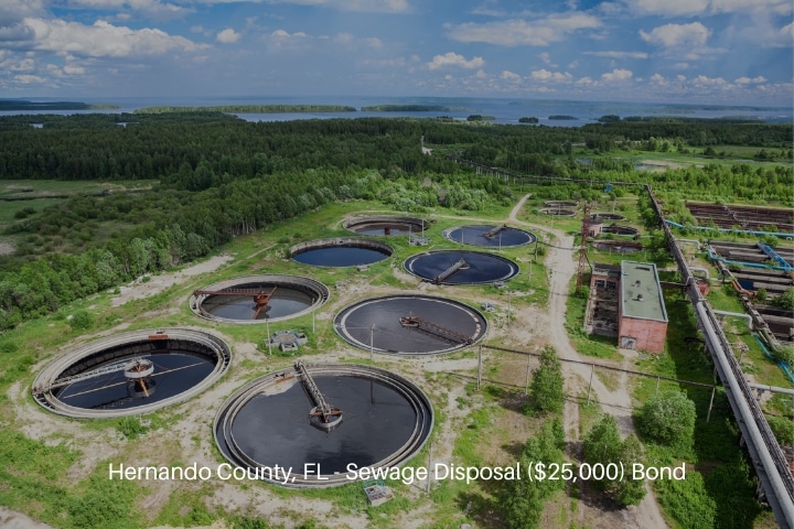 Hernando County, FL - Sewage Disposal ($25,000) Bond - Disposal of solid waste from manufacturing at sewage treatment plant.