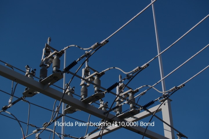 Florida Power and Light Company Utility Deposit Bond - Electric power company wire detail.
