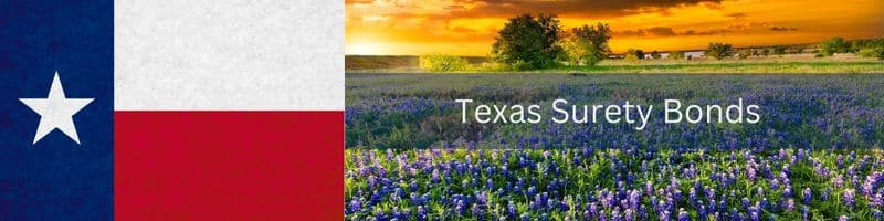 Texas Surety Bonds. A Texas Flag to the left. Texas State Wildflowers to the righ. A blue box says Texas Surety Bonds.