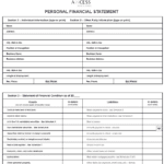 An image of a fillable personal financial statement from Axcess Surety.