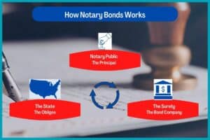 This shows the notary public,  State and Surety Bond Company and now they work together on a notary bond. The background is a notary stamping a document.
