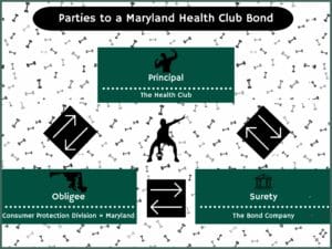 This chart shows the relationship between the Maryland Health Club, The Surety and the Maryland Consumer Protection Division. The background is a bunch of tiny barbells.