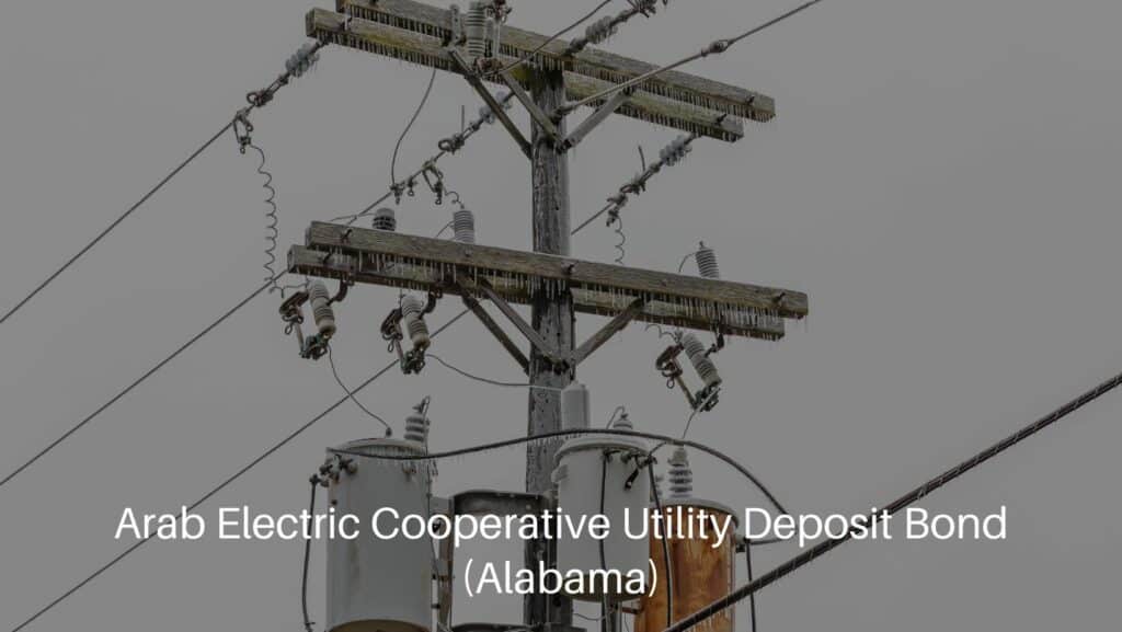 Arab Electric Cooperative Utility Deposit Bond (Alabama) - Ice on an electrical utility pole and power line from freezing rain.