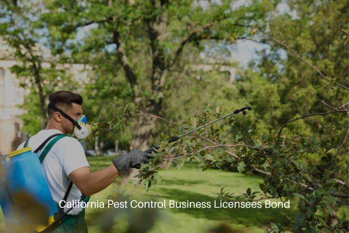 California Pest Control Business Licensees Bond - Worker spraying pesticide onto tree outdoors.