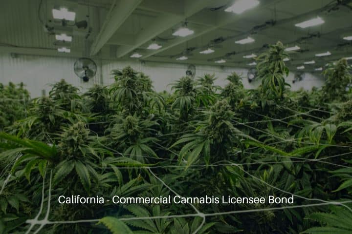California - Commercial Cannabis Licensee Bond - Cannabis growing in commercial business.