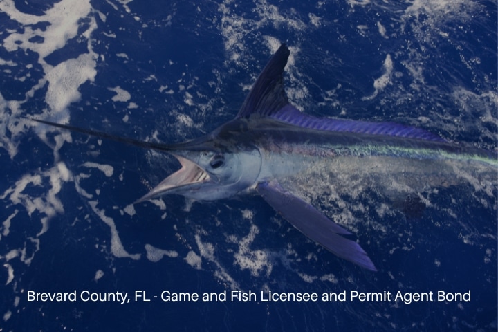 Brevard County, FL - Game and Fish Licensee and Permit Agent Bond - Atlantic white marlin big game sport fishing.
