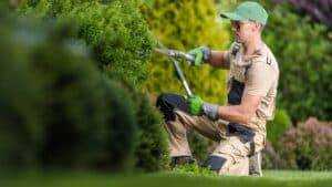 landscape maintenance guy cutting bushes