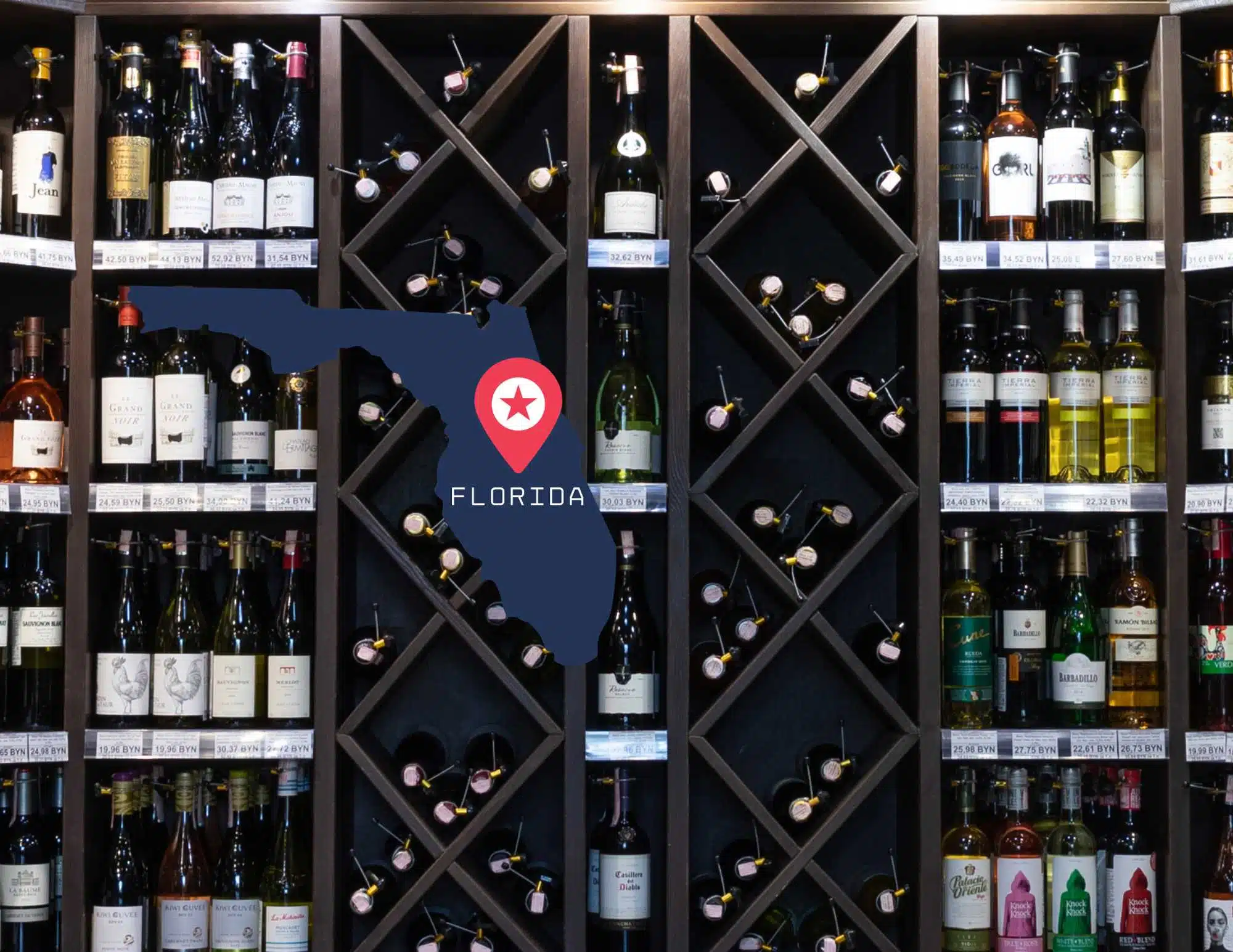 Florida JDBW Distributor (Beer and Wine) (25,000) Bond Surety