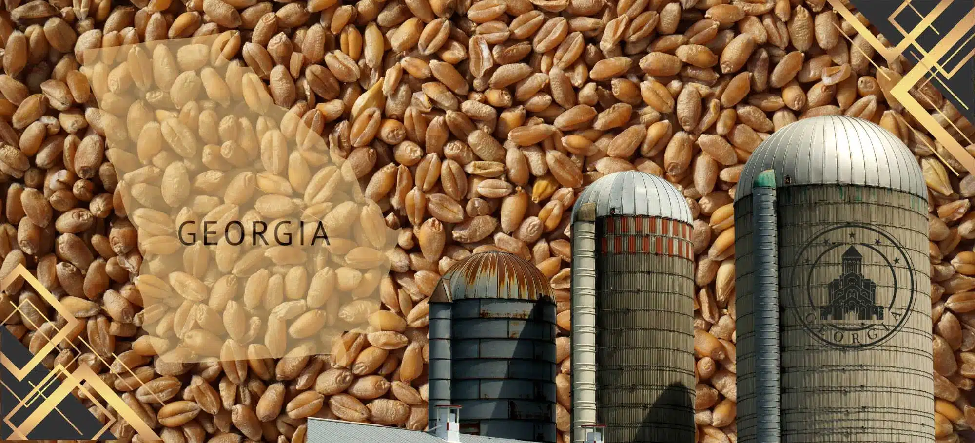 GA Grain Dealer Bond Surety Bonds by Axcess