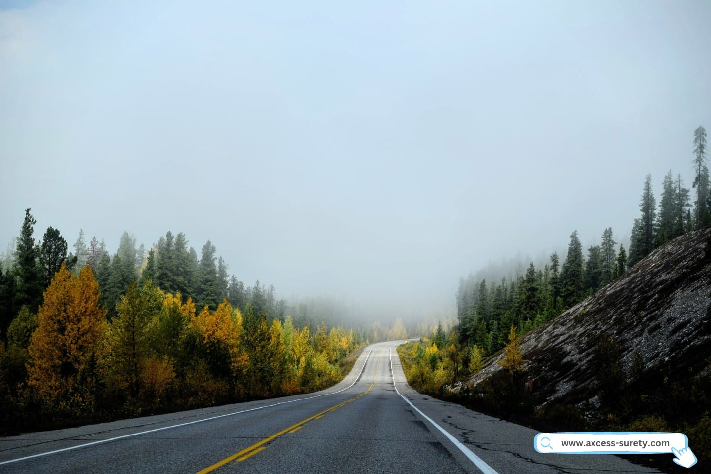 An empty highway road in surrounded by trees and mist.
