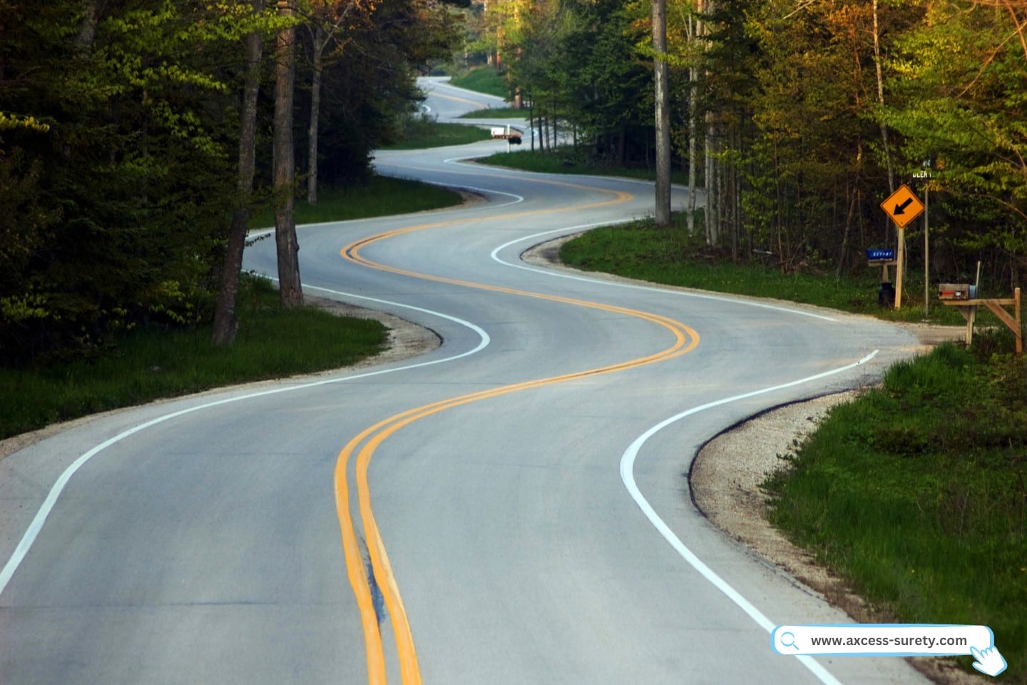 A quiet curvy road in a county and trees.