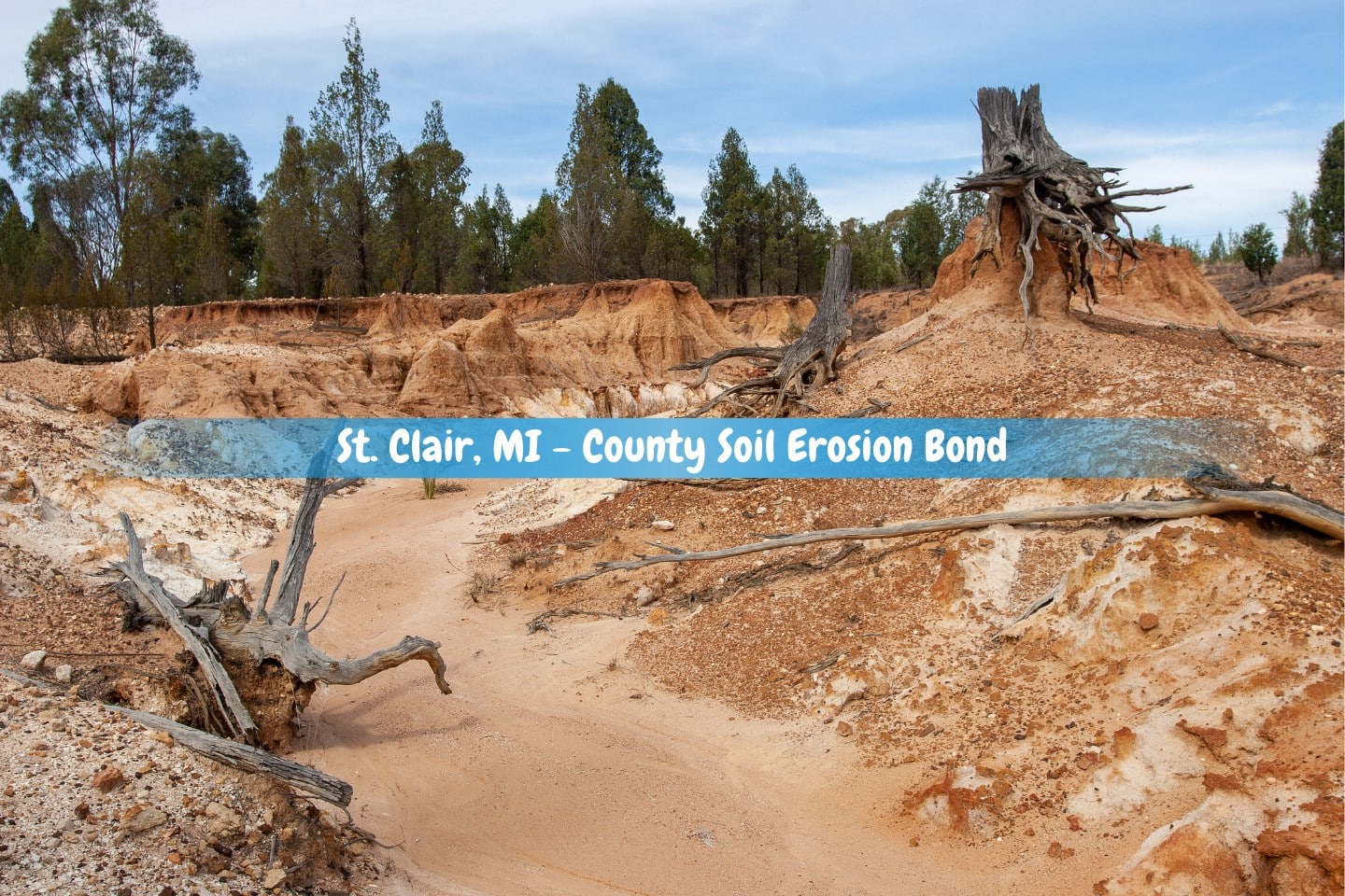 St. Clair, MI - County Soil Erosion Bond - A stumps of cypress pine trees on eroded land.