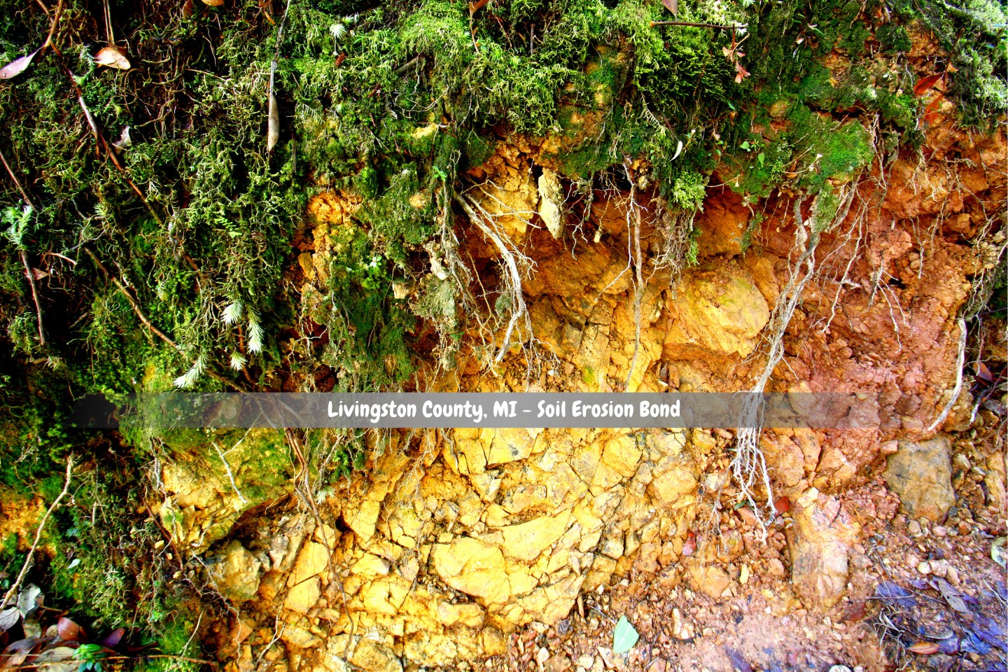 Livingston County, MI - Soil Erosion Bond - Soil erosion along the trail.