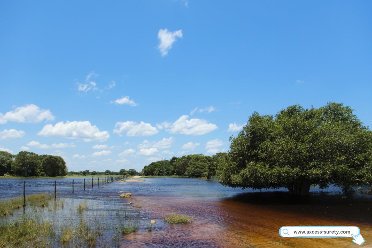 Pantanal marsh. Biosphere reserve and world nature heritage site.