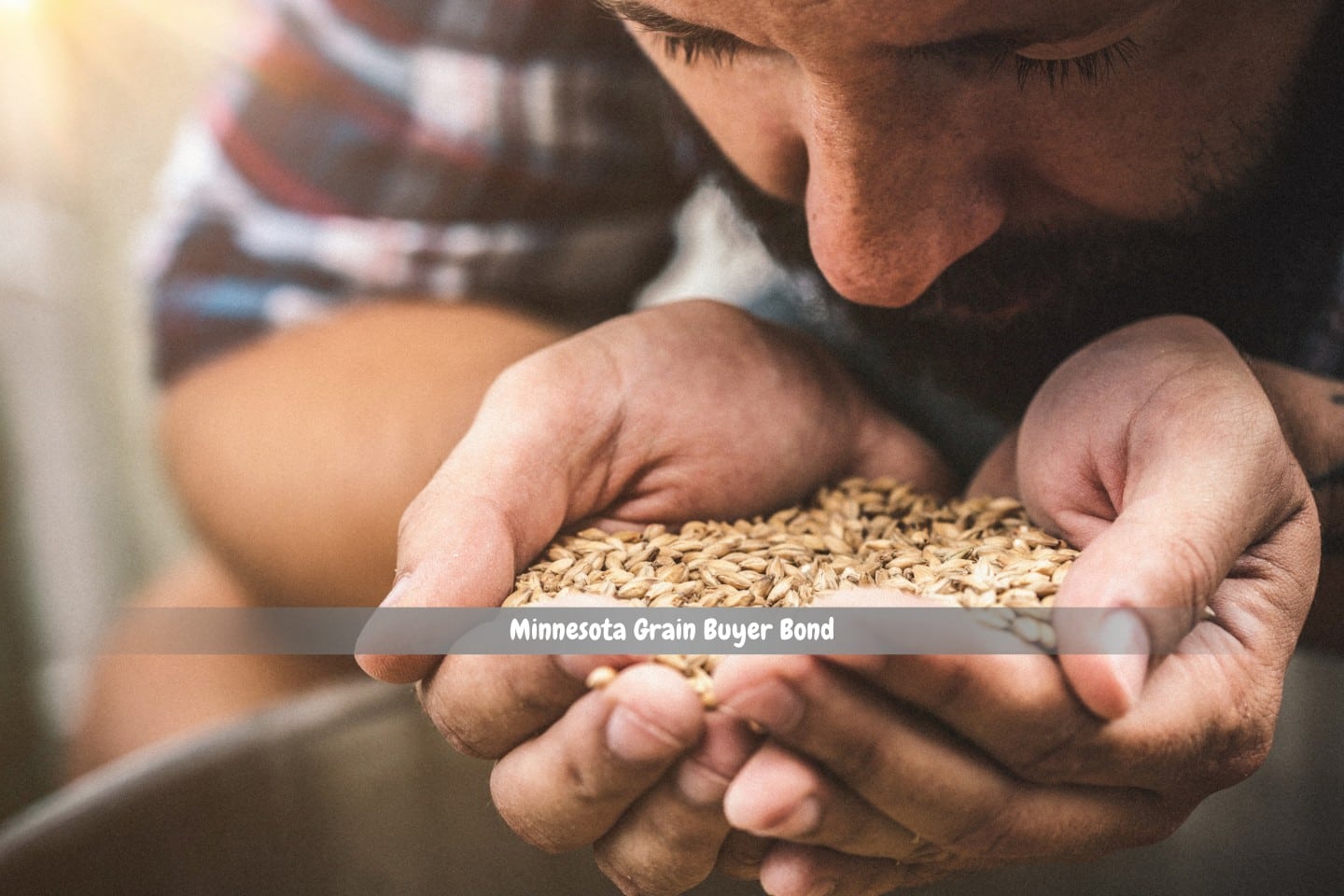 Minnesota Grain Buyer Bond - A checkered-dressed farmer is carrying wheat close to the bucket.