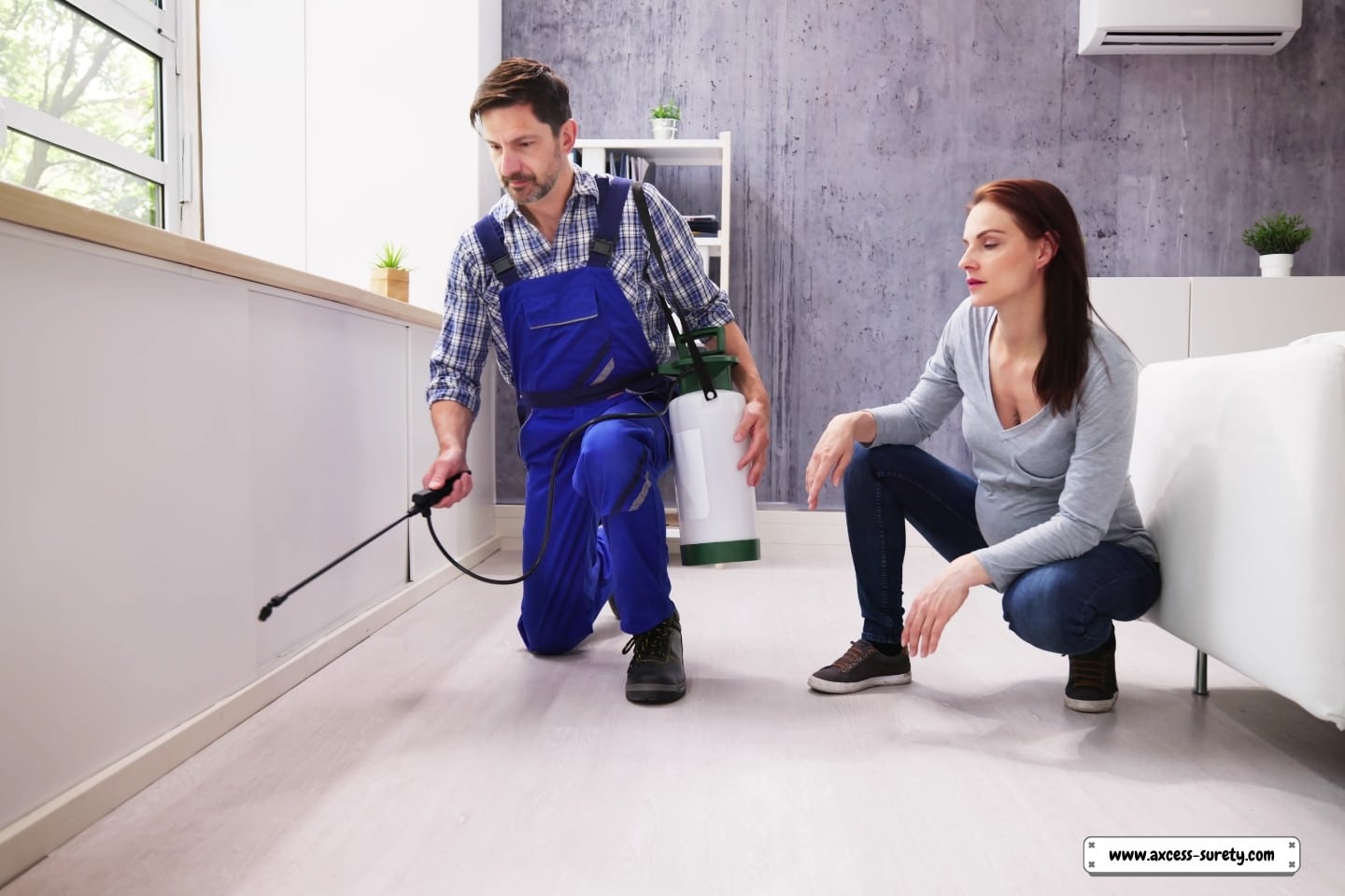 An exterminator sprays a chemical insecticide.
