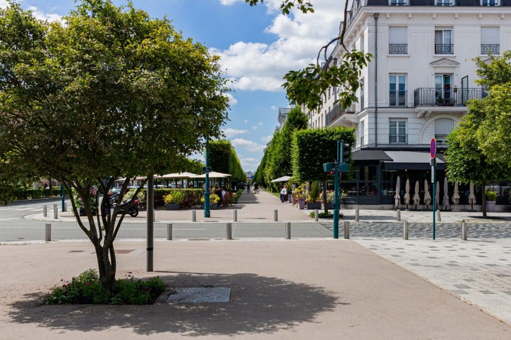 A lush, green tree is growing in a city park near a modern residential building, providing a peaceful atmosphere and a pleasant view