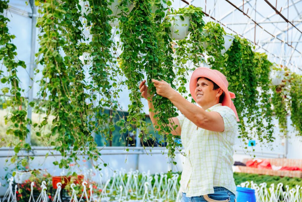 front-view-of-diligent-greenhouse-worker-taking-ca-2024-02-29-21-03-46-utc_11zon