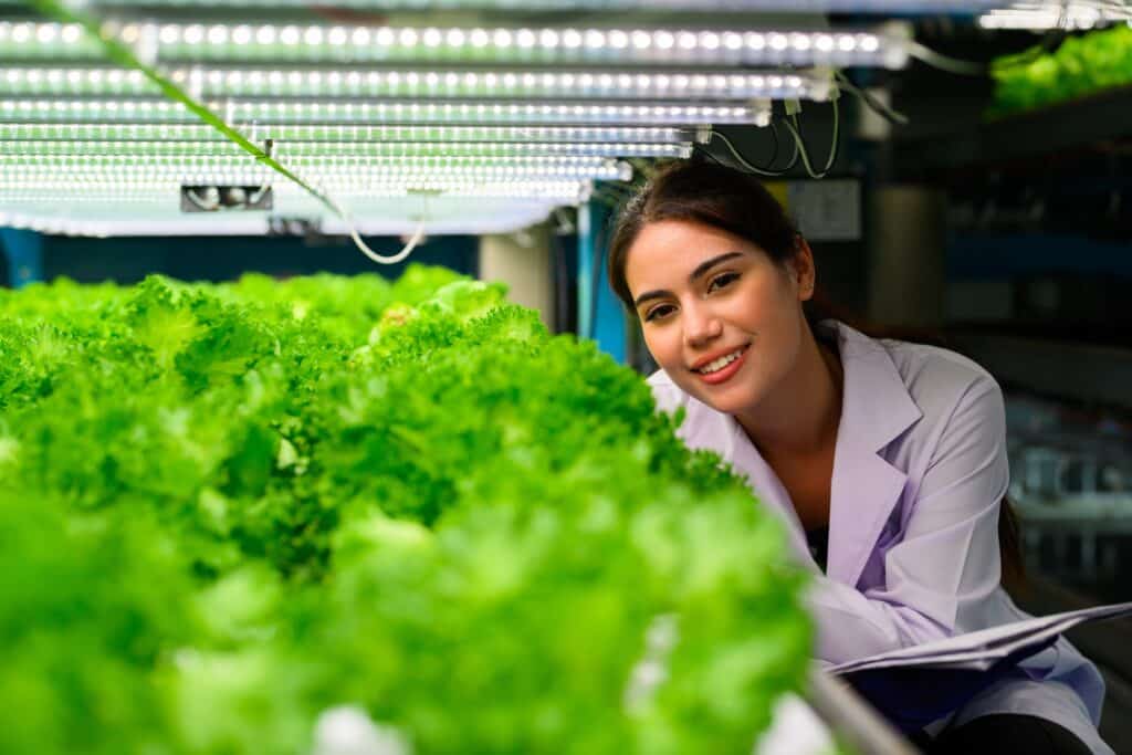 researchers-developing-vegetable-varieties-at-gree-2023-11-27-05-13-36-utc_11zon