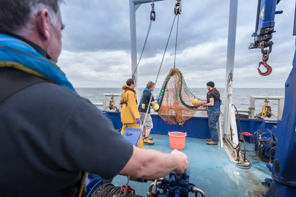 Fishermen and scientists pay out trawler net on research ship