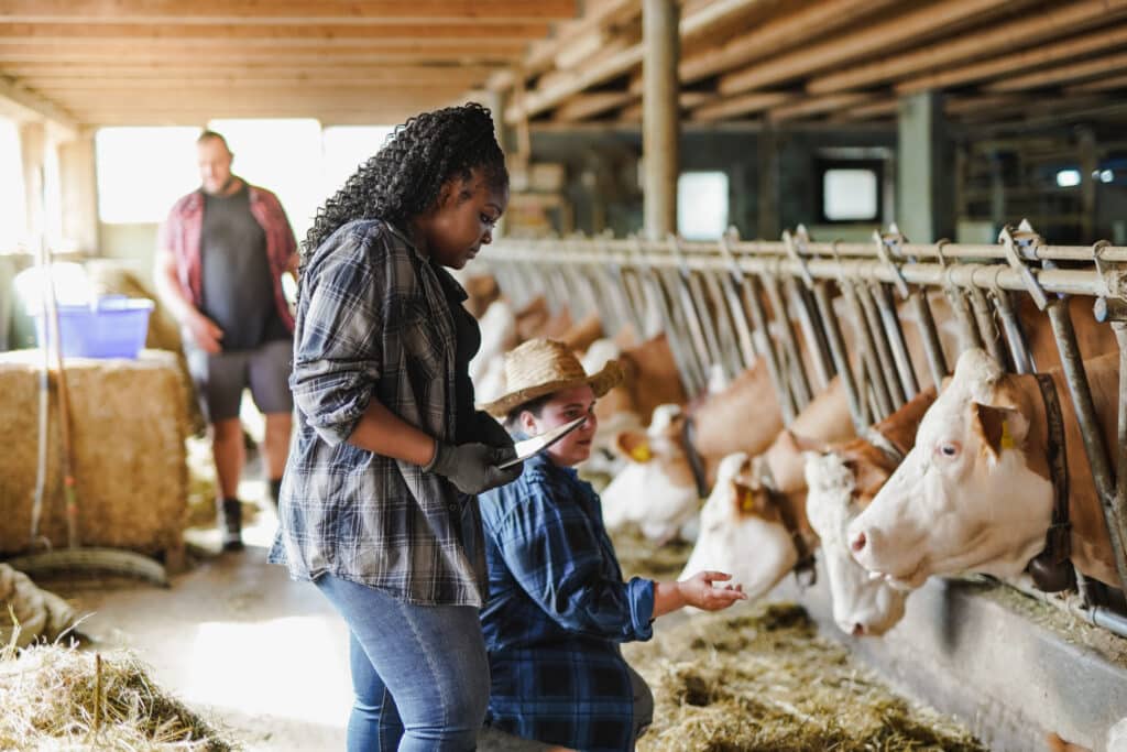 Multiracial farmer people using digital tablet while working inside cowshed