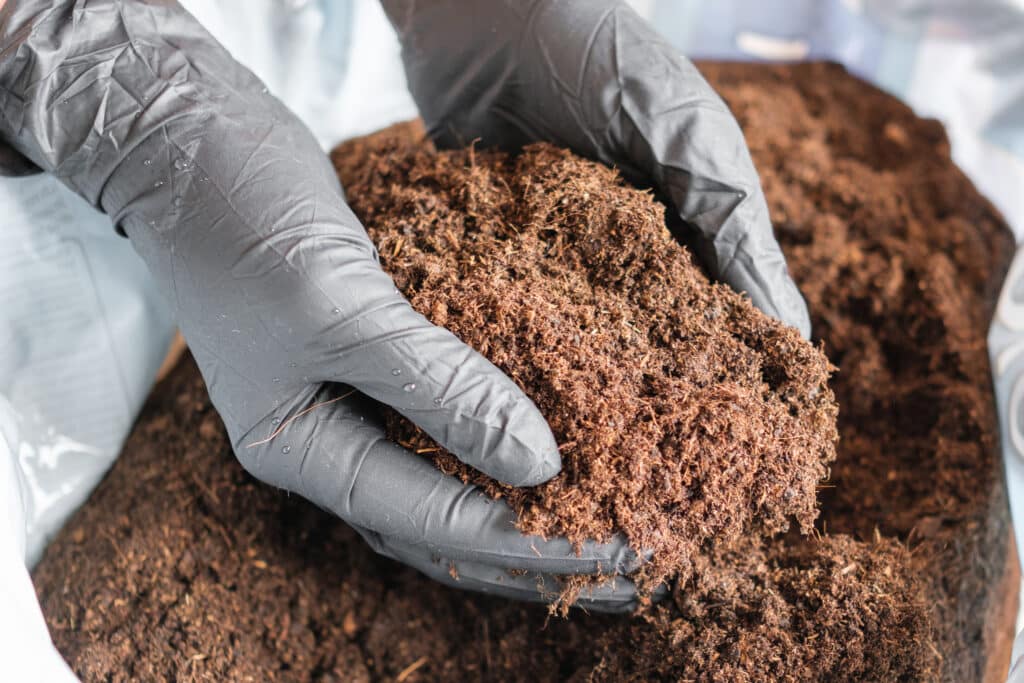 Woman hands in the black rubber gloves preparing ground or soil for planting plants in the pot