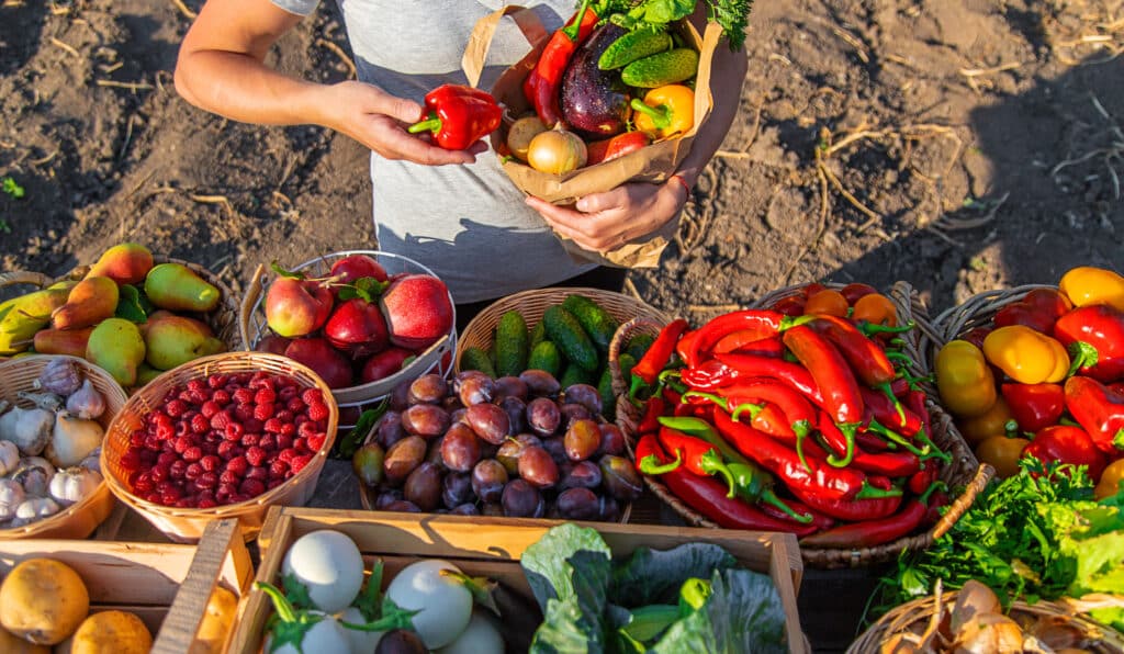 A woman buys fruits and vegetables at a farmers market. Selective focus. Food.