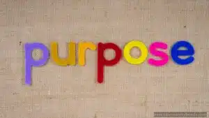 Milwaukee, WI - Wreckers or Movers Performance ($100,000) Bond