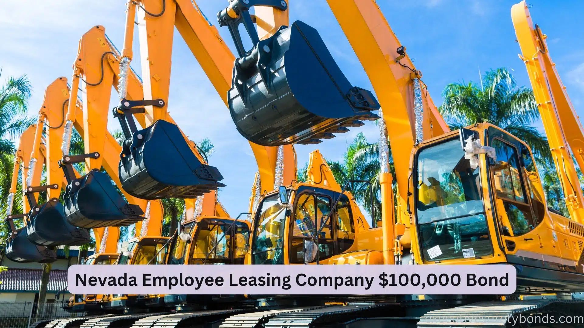 Navigating the Workforce The Nevada Employee Leasing Company 100,000