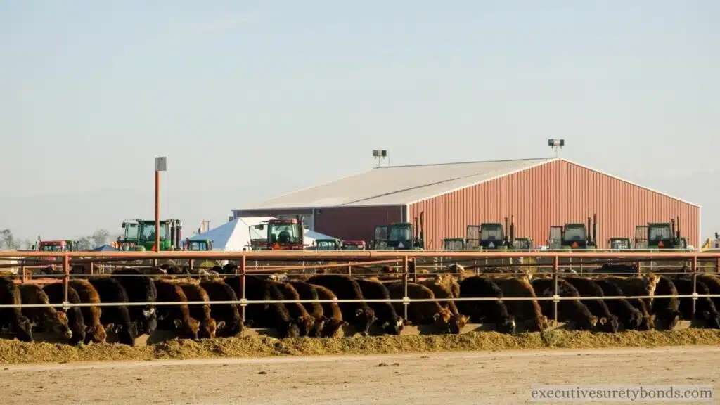 Ensuring Fair Play The Oregon Livestock Auction Market Bond Surety