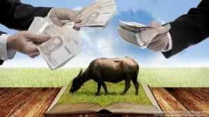 Oregon - Livestock Auction Market Bond