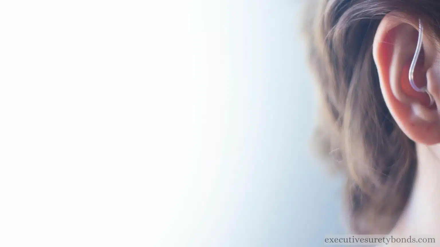 Harmony of Sound The Washington State Hearing Instrument Establishment