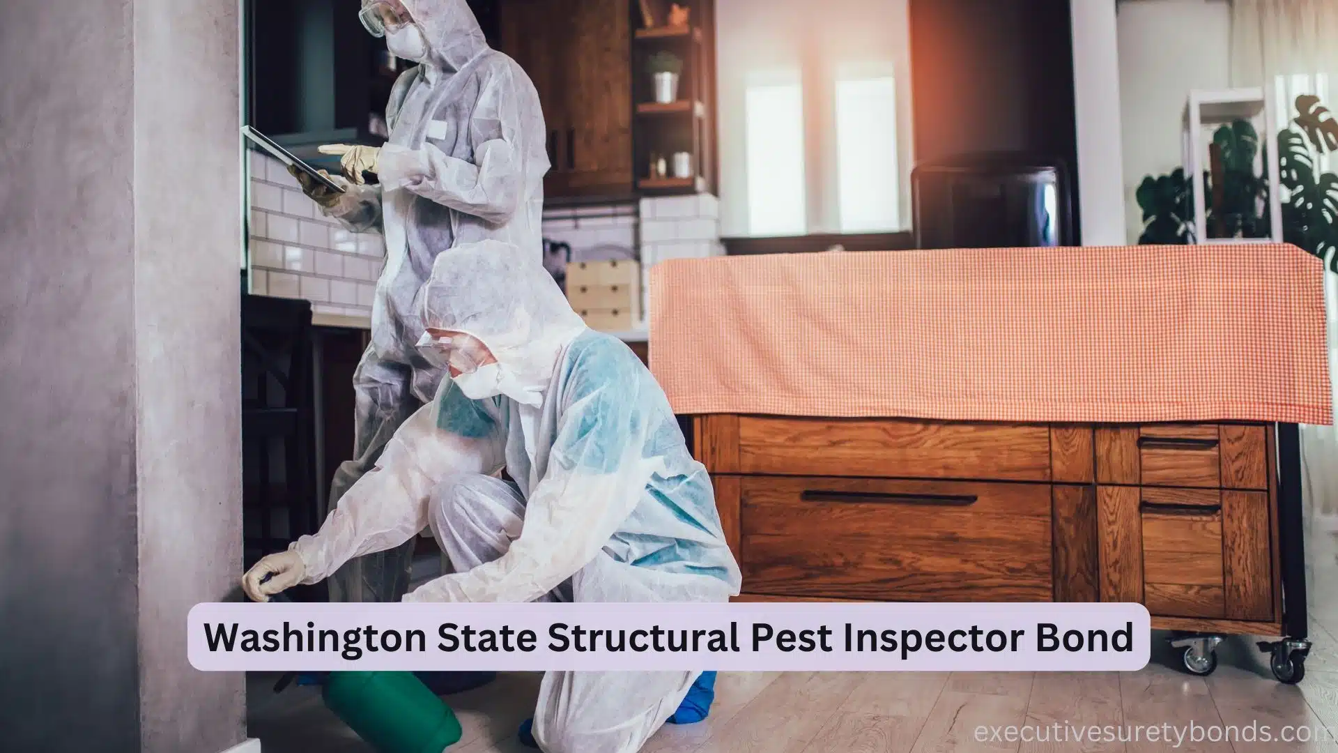 Guardians of Homes The Washington State Structural Pest Inspector Bond