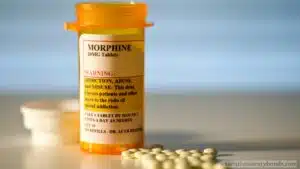 Wisconsin - Prescription Drug Wholesale Distributor ($5,000) Bond - LLC