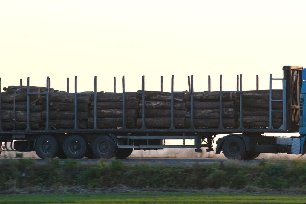 Semi-truck with cargo trailer driving on highway hauling cut down trees in evening. Timber delivery and logistics concept.