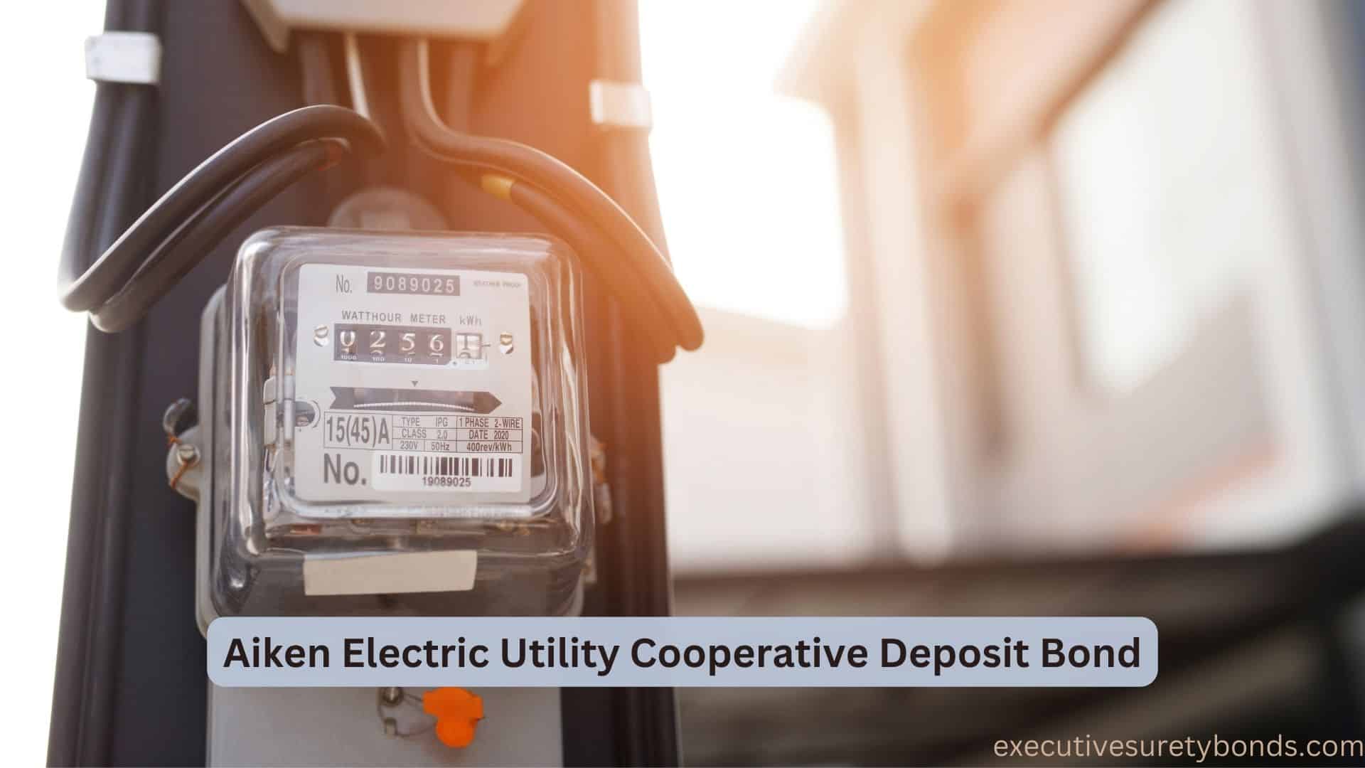 Empowering Homes with Energy: The Aiken Electric Utility Cooperative ...