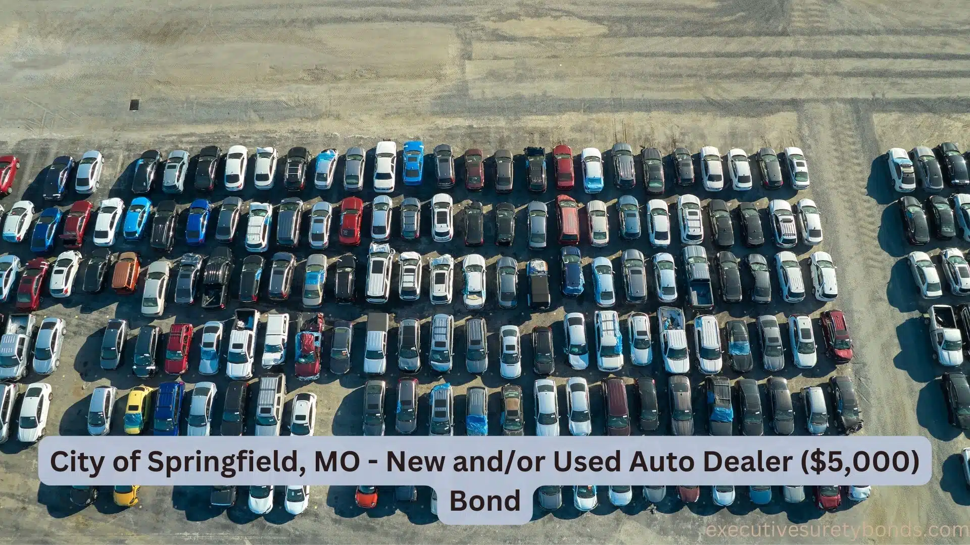 Driving Trust The City of Springfield, MO New and/or Used Auto