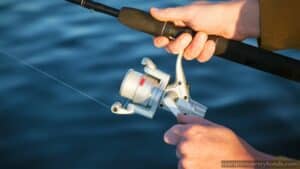 Missouri Hunting, Fishing and Trapping Permit Issuing Agent Bond