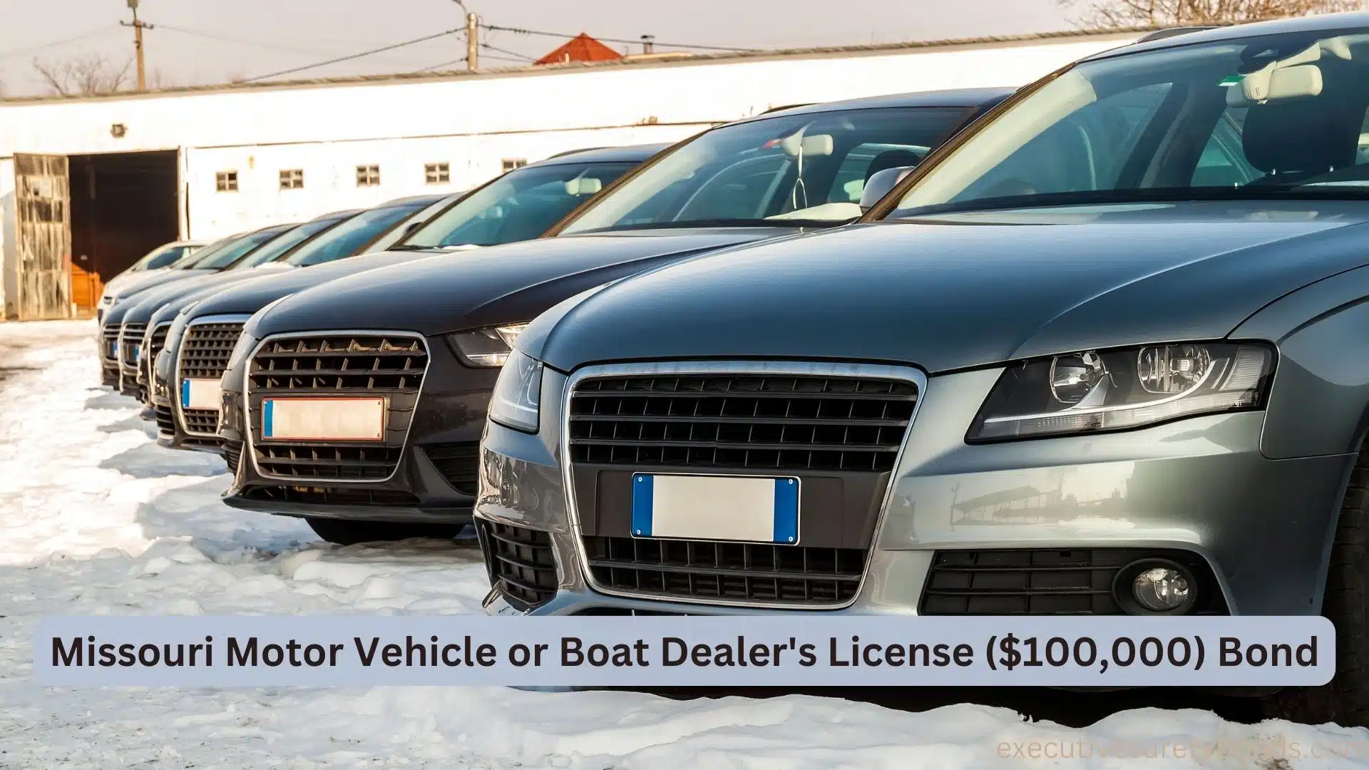Motor License Promotion Cruising the Showroom: Understanding the Missouri Motor Vehicle or Boat ...