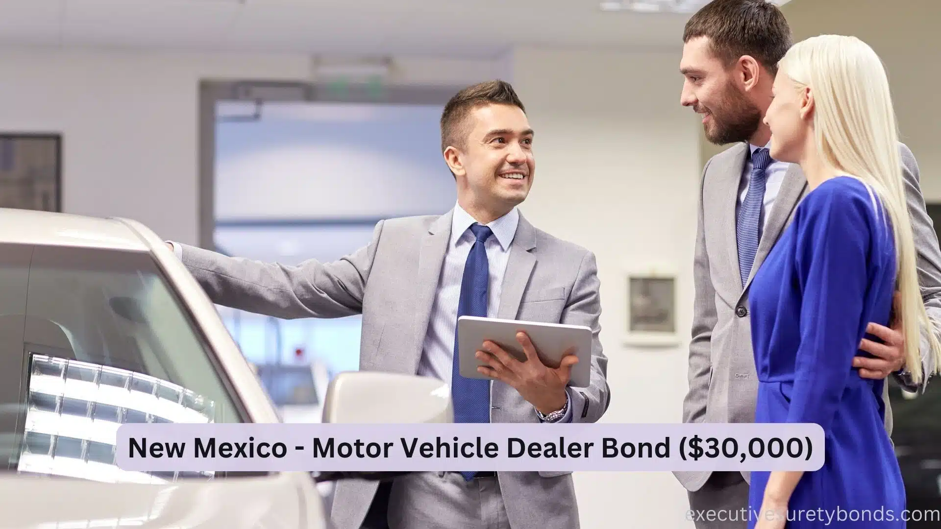 Driving Trust New Mexico Motor Vehicle Dealer Bond (30,000